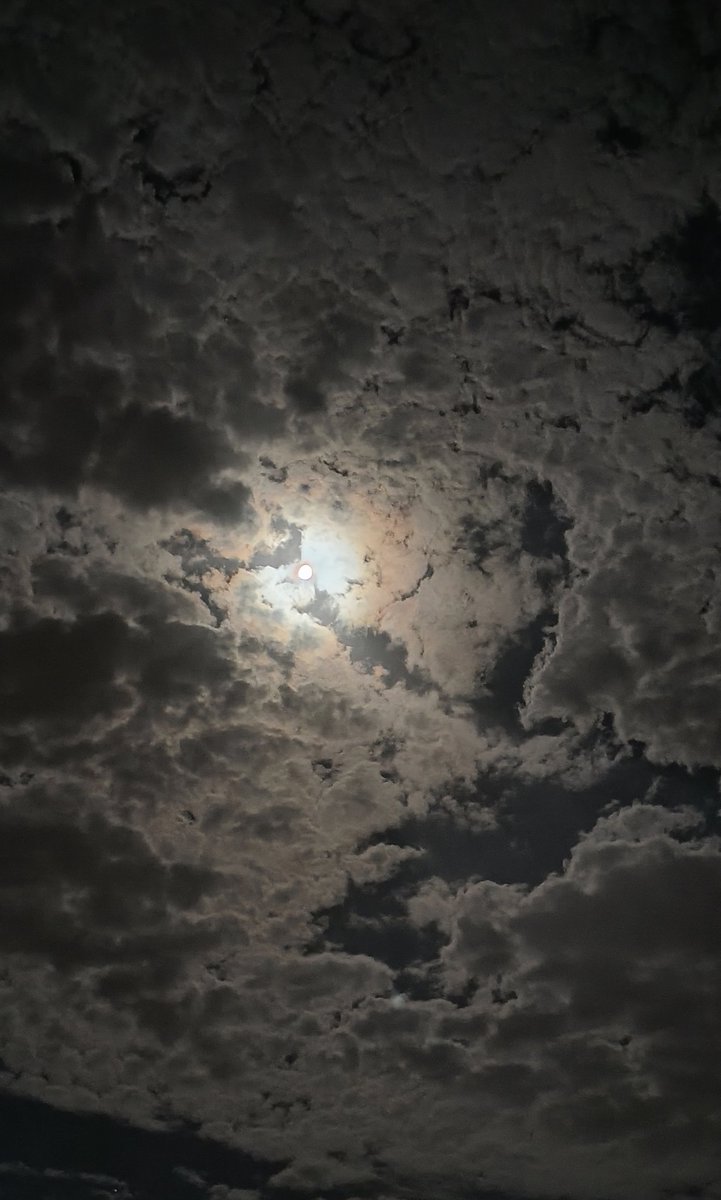 𓆩حـياهة𓆪 tweet media