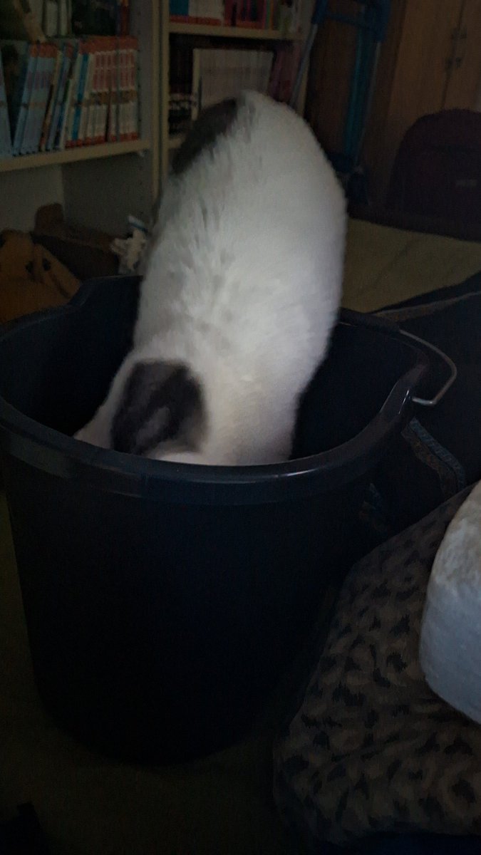 Moonlight1989 tweet media