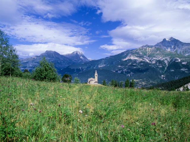 passe colmar tweet media