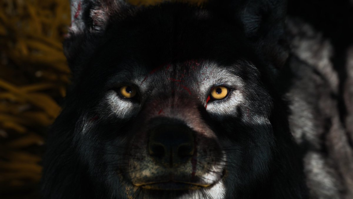 KintsugiRonin tweet media