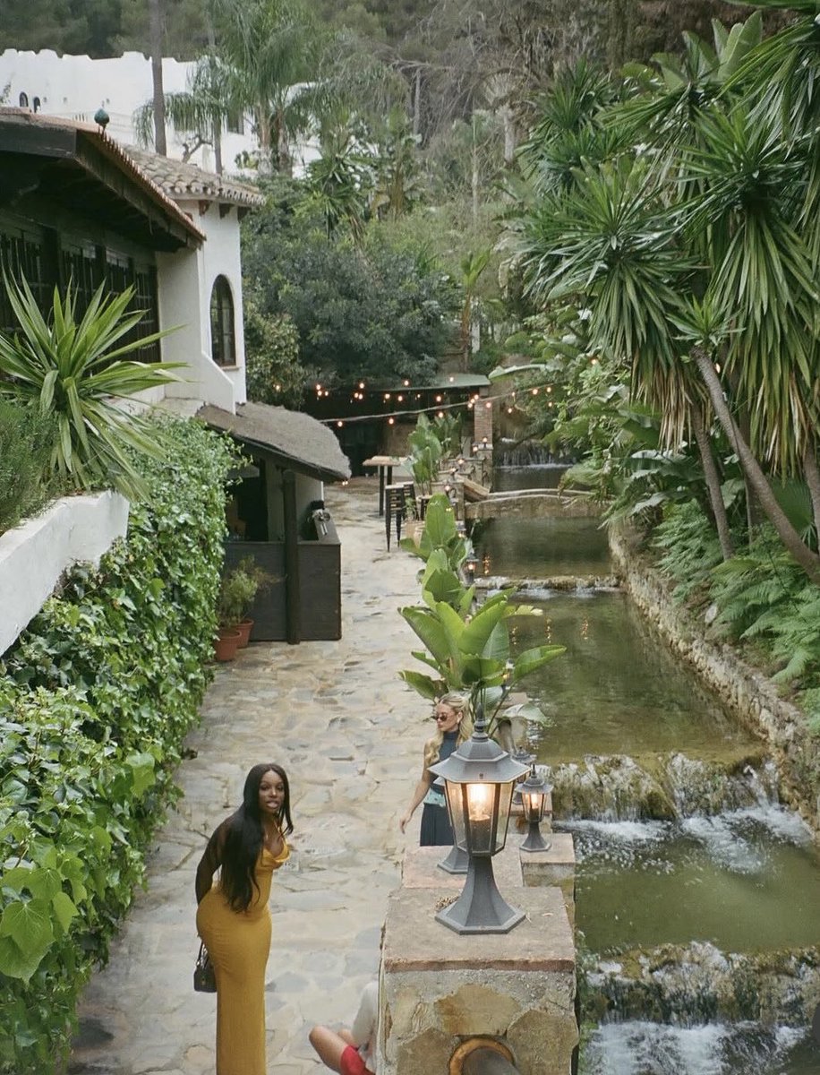 the nay nay archive tweet media