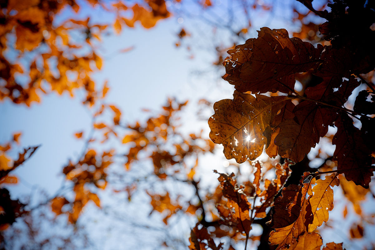 张瑾 ❤️ Memecoin tweet media