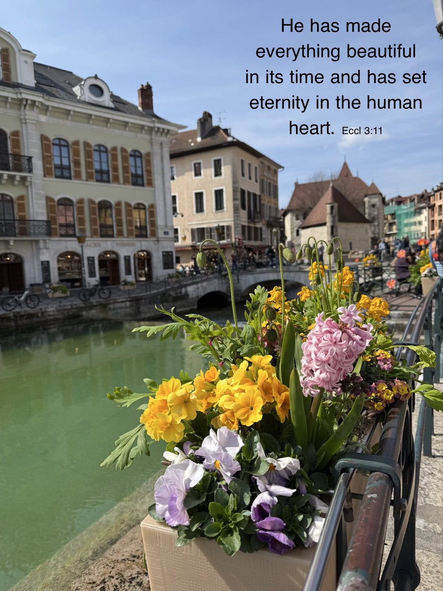 「 nsng 」Seventh-day Adventist tweet media