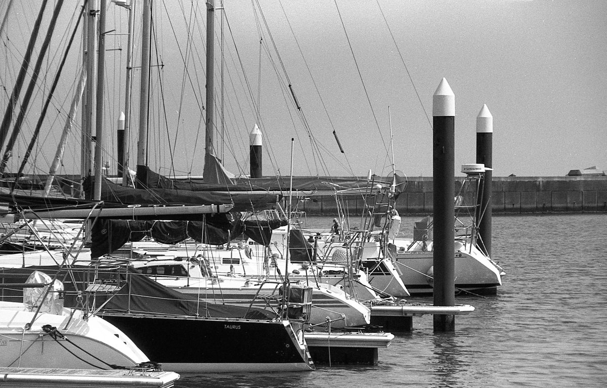 ChaprinYY's tweet photo. Nikon FEとSOLIGORの試写。
#SOLIGOR AUTO-ZOOM 1:4.5 90-230mm
#KENTMERE PAN 200 / SPD1:1 7:30 20℃ https://t.co/y6Xk8kzWa6