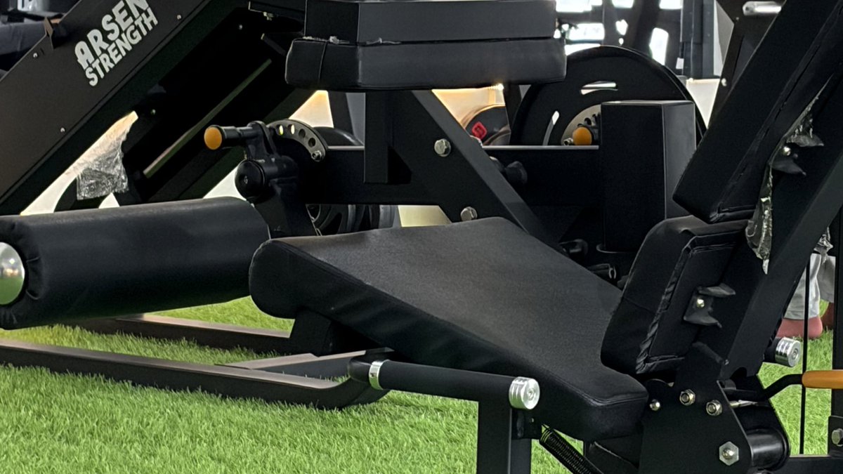 professional court jester tweet media