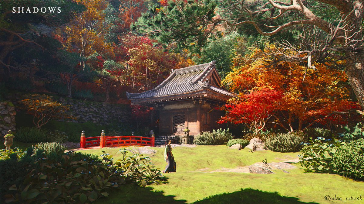 SalviaVP tweet media