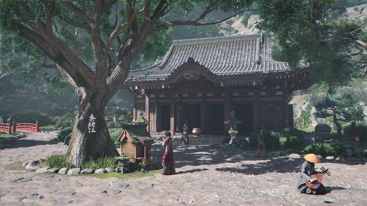 SalviaVP tweet media