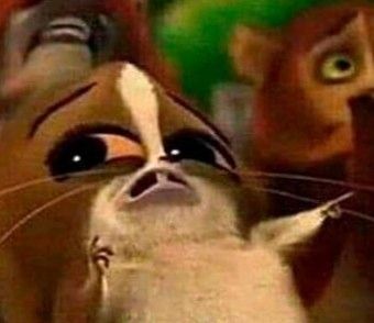 Drylan23tt tweet media