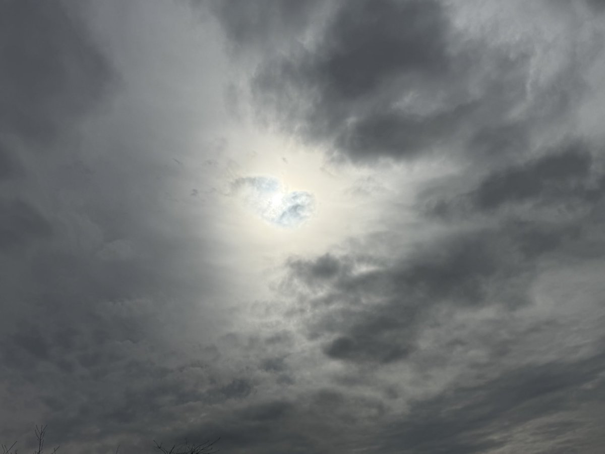 breaking tweet media