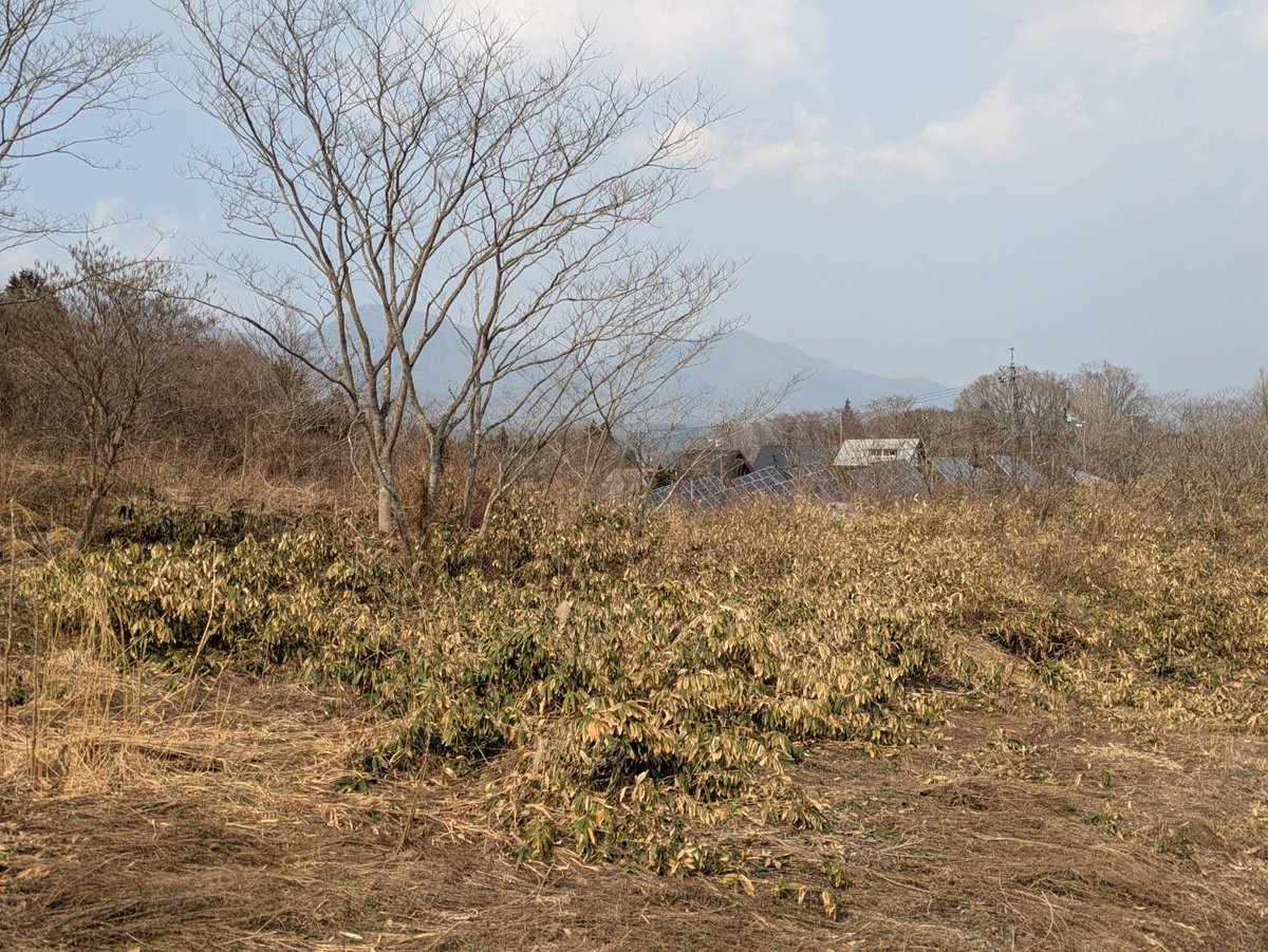 まんまるまんちかんのまる tweet media