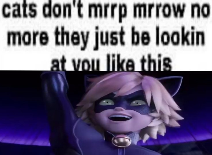 lala 🐞| april 1st tweet media