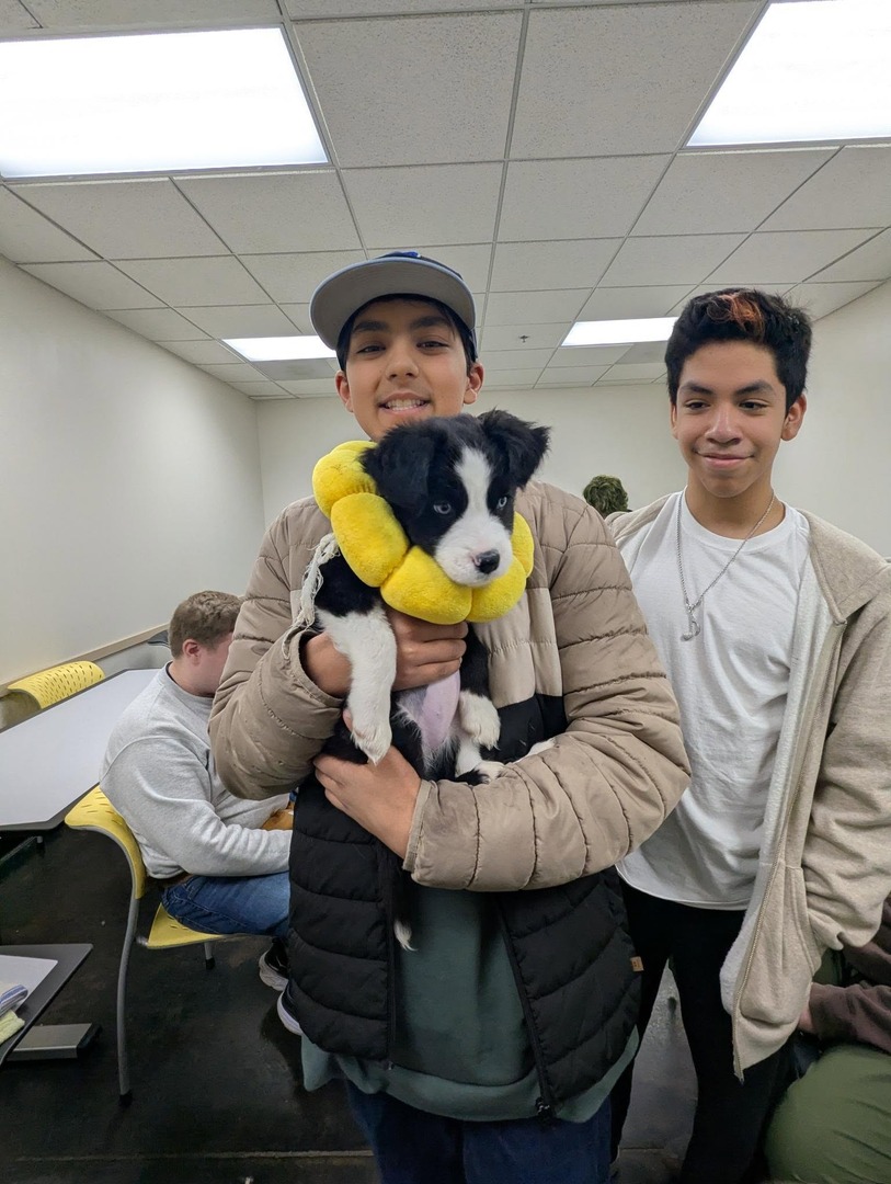 Memphis Humane Society tweet media