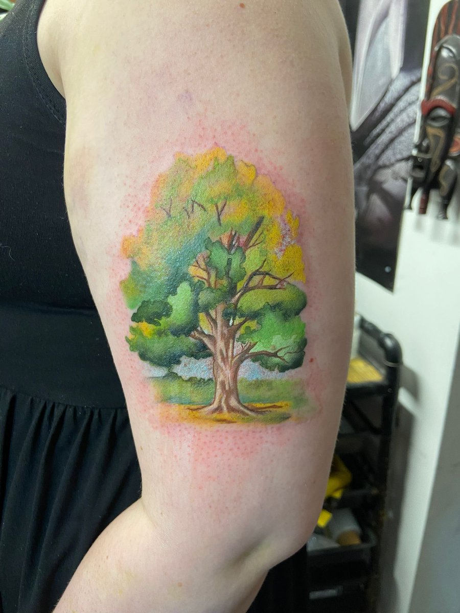 🩵 em 🩵 tweet media