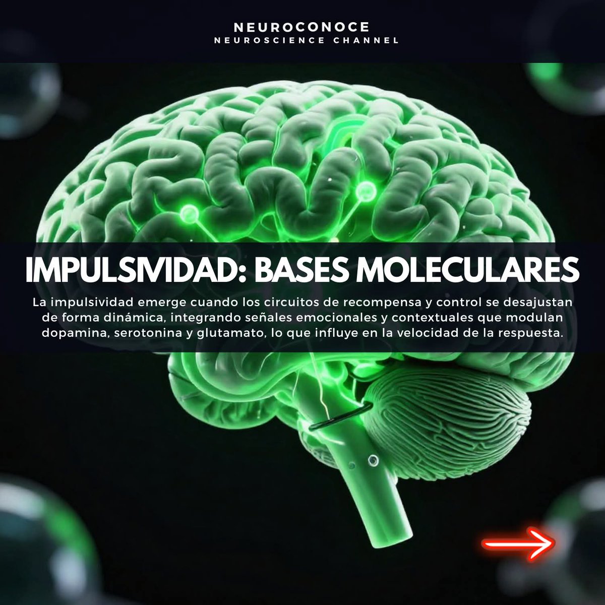 Carlos Rebolleda tweet media