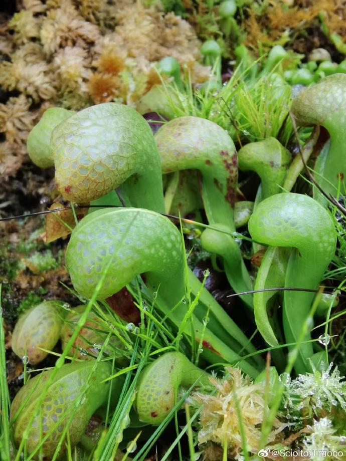 Angie MN tweet media