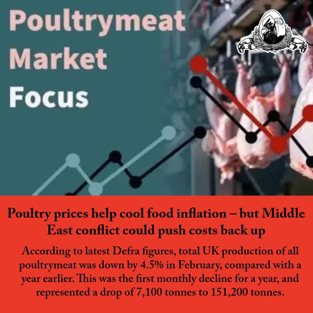 Poultry.Network tweet media