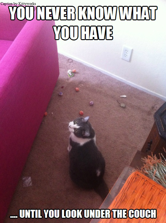 Kittyworks tweet media