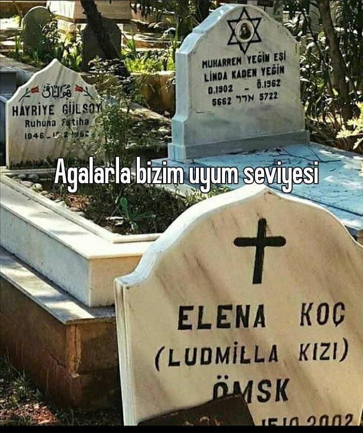 々RɛϙʊɨɛʍΛnɢɛℓ tweet media