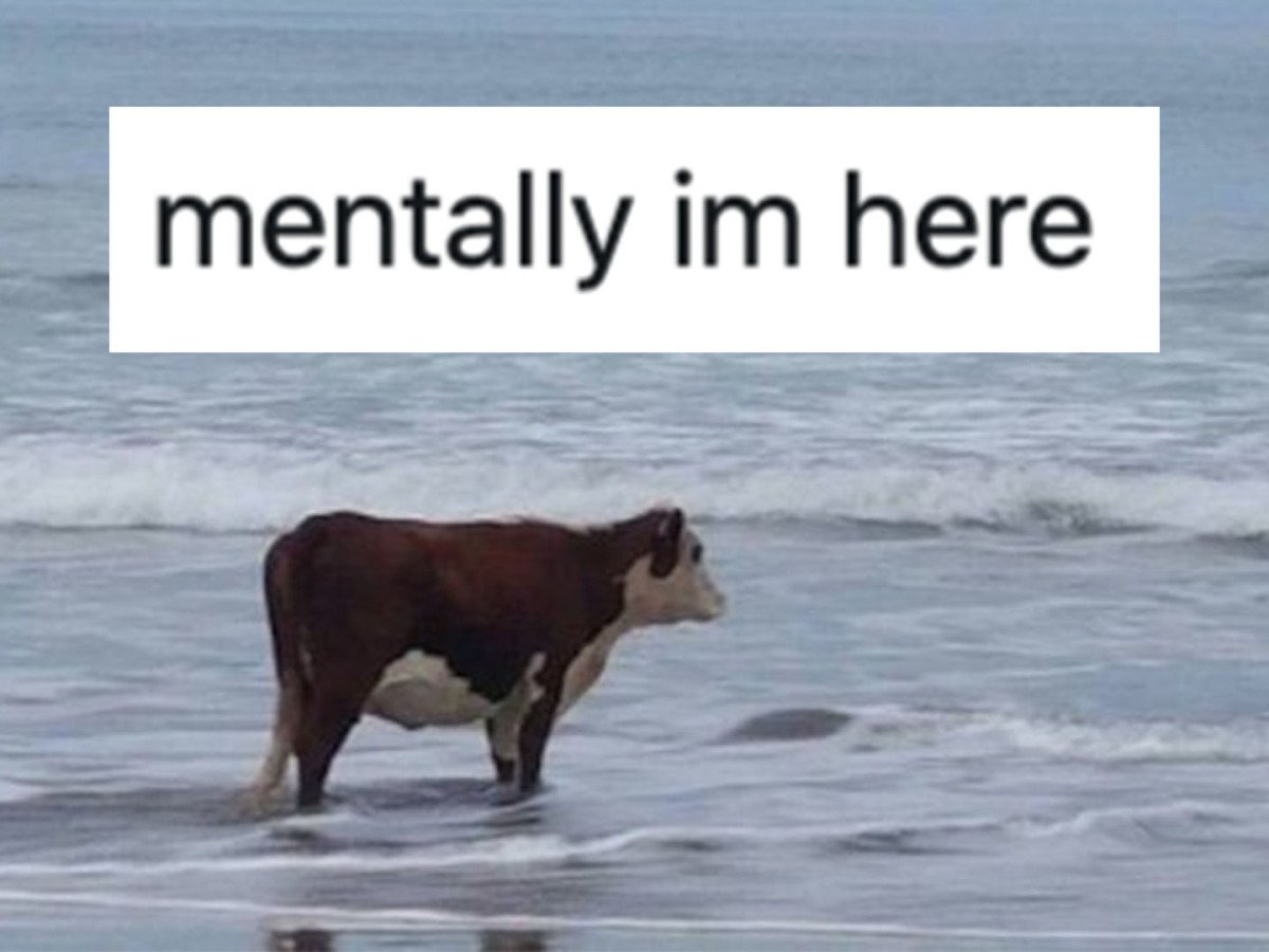 Cl4w🧲 tweet media