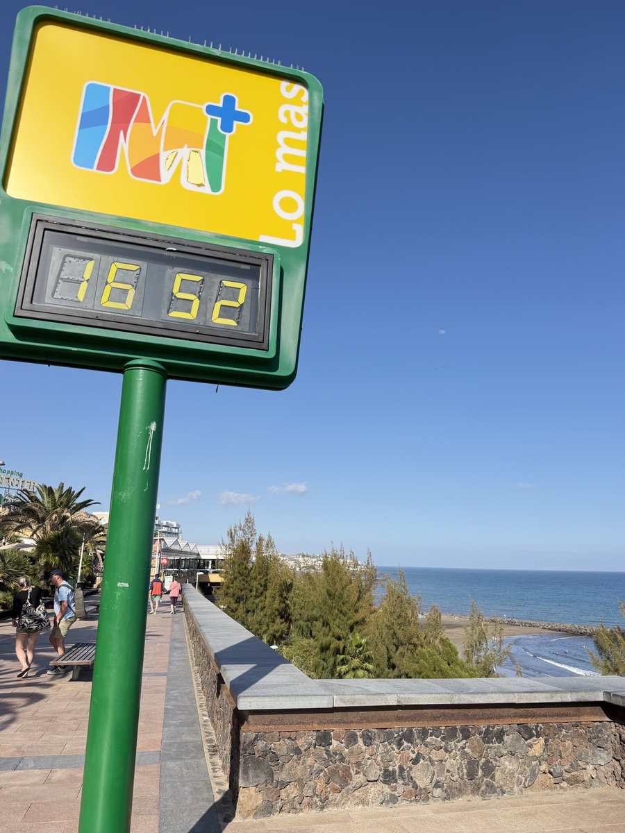 mycanaryislands's tweet image. 22 degrees live from Tropical.

#carnival #carnaval2026 #Maspalomas #GranCanaria #canarias #spain #mycanaryislands #fblifestylechallenge