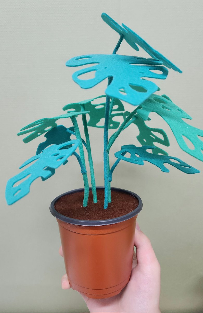 투명인형 tweet media