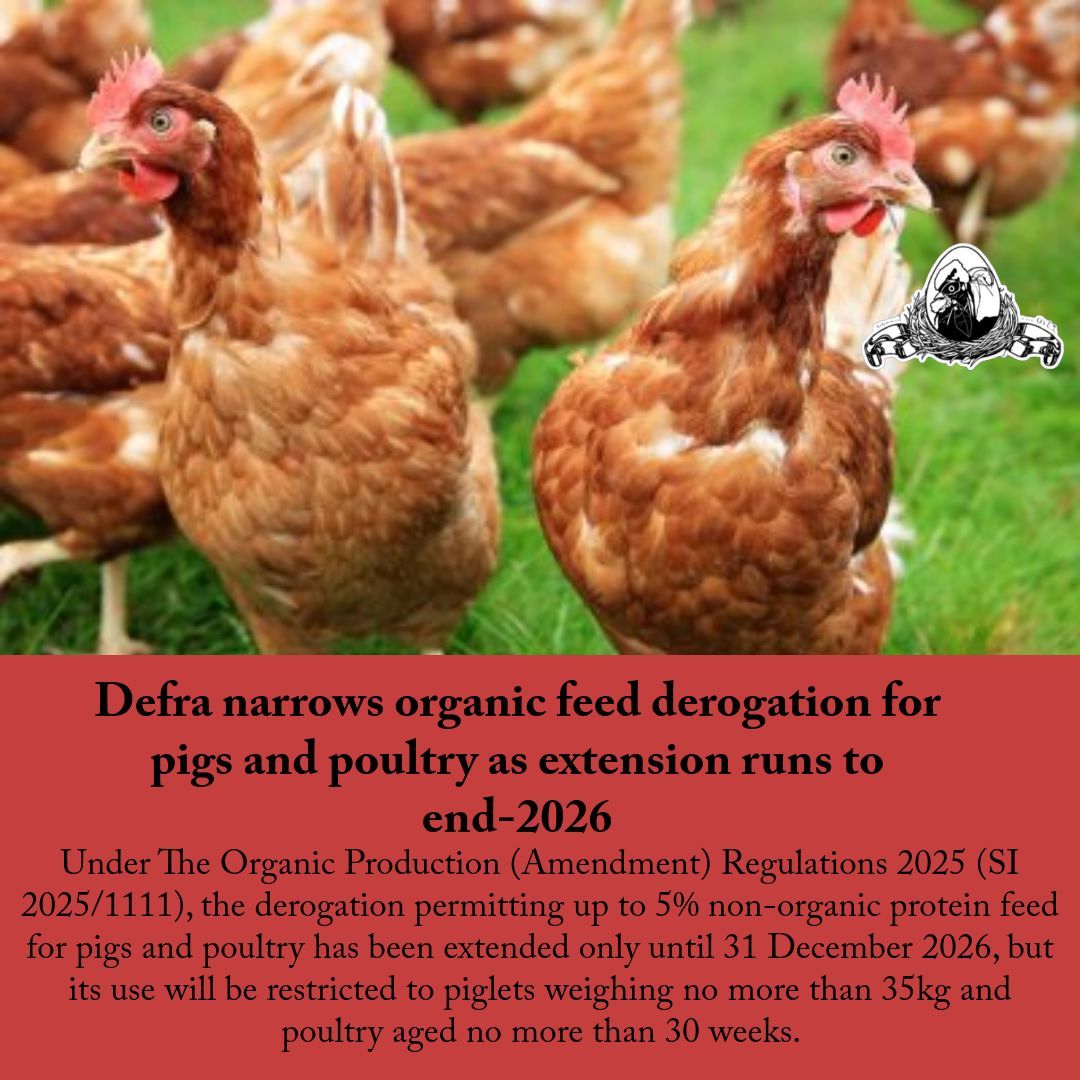 Poultry.Network tweet media