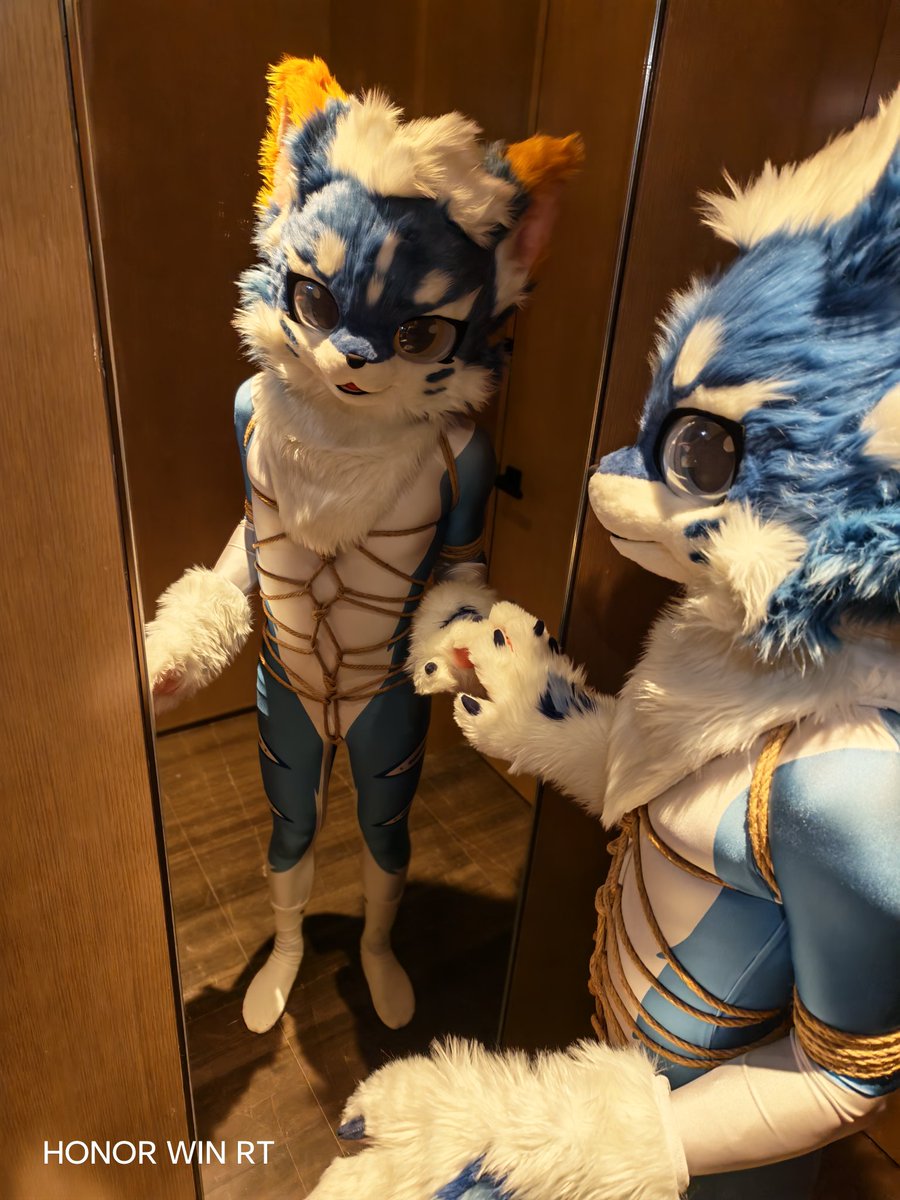 Appfelsin tweet media