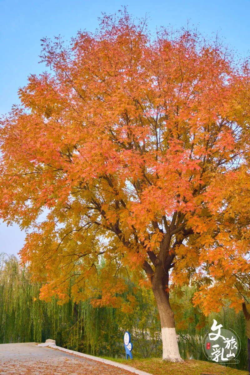 Evelyn Ortiz Prieto tweet media