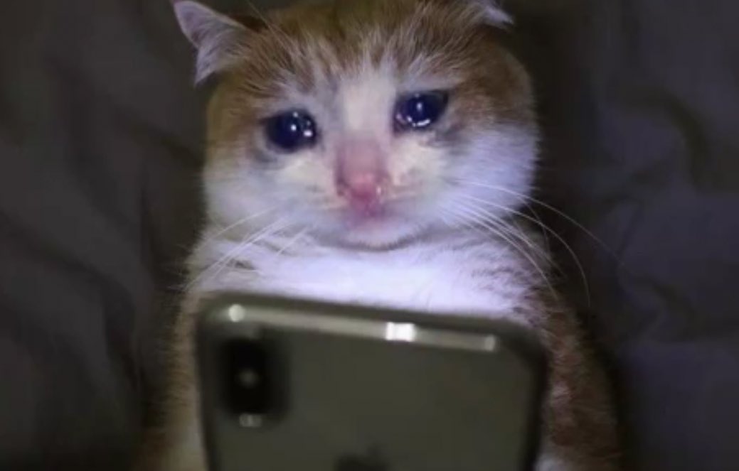 K⁷ | ⊙⊝⊜ tweet media