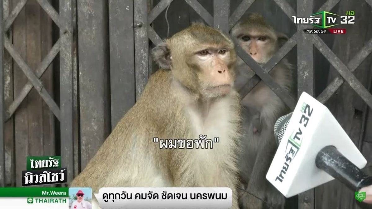 mornor ெ˚❀ tweet media