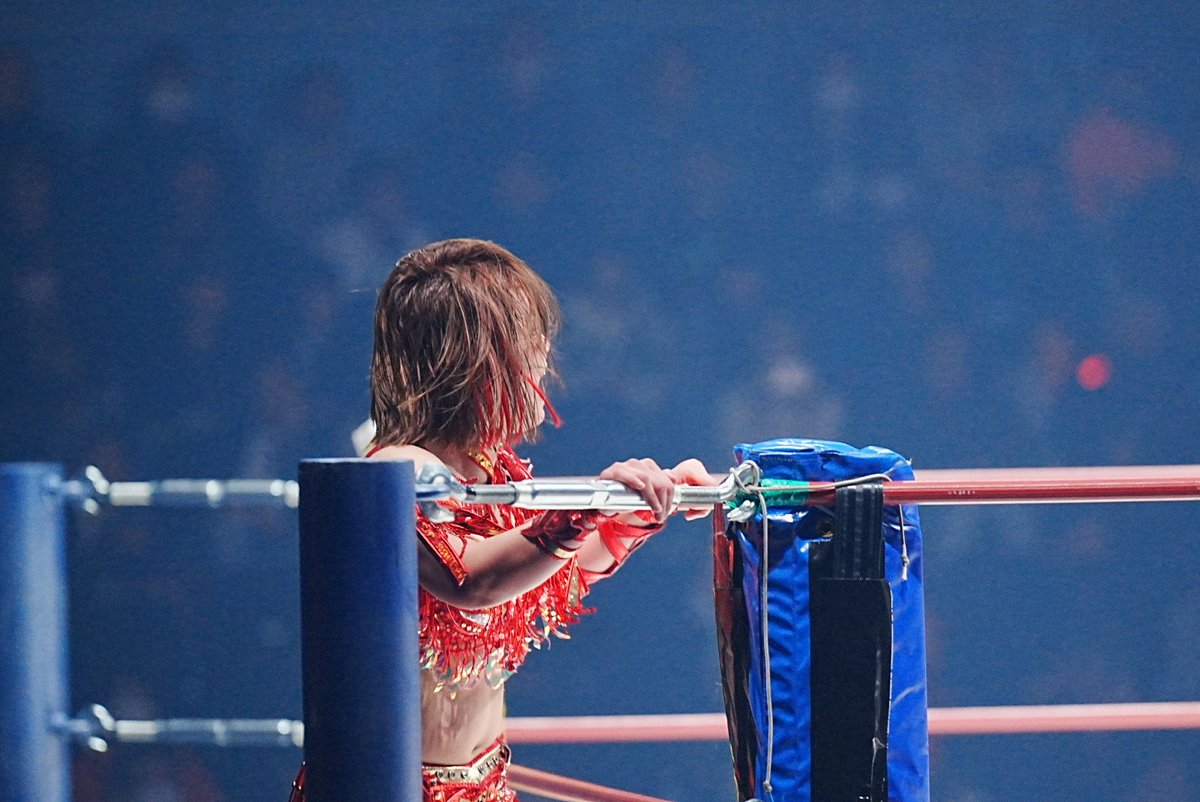 r1031s's tweet photo. 3.22 SareeeISM ChapterX
太陽神Chronicle
 ─15thANNIVERSARY─
横浜武道館　
飛ぶ合図
#Sareee
#sareeeISM https://t.co/cRrVtymUY5
