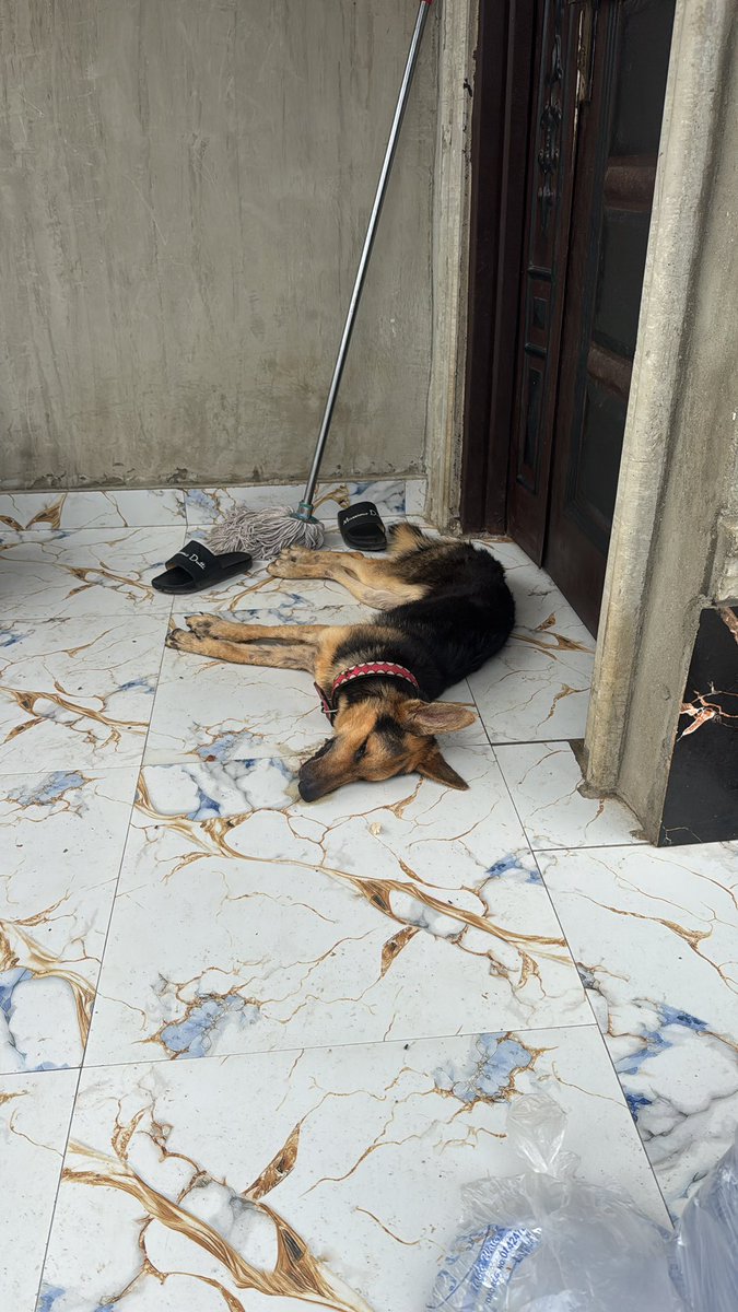 Claire 💙 tweet media