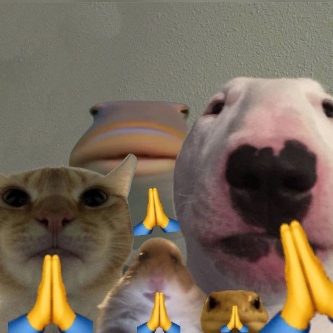 cyaa 🦄 tweet media