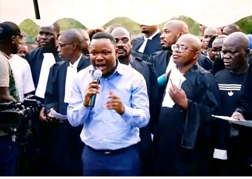 CHAUFFEUR Tout-Kin tweet media