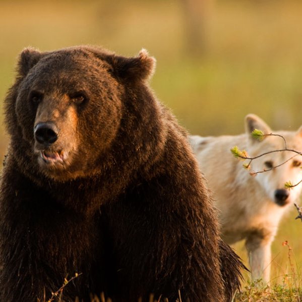 Cultination tweet media