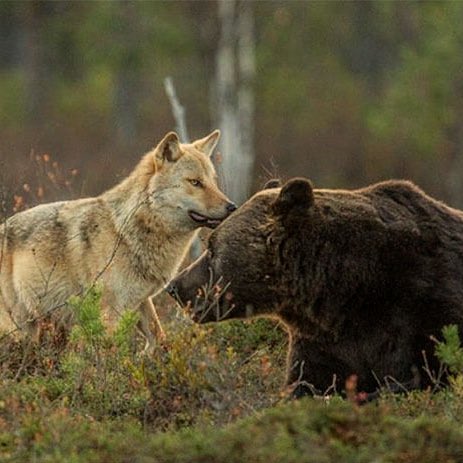 Cultination tweet media