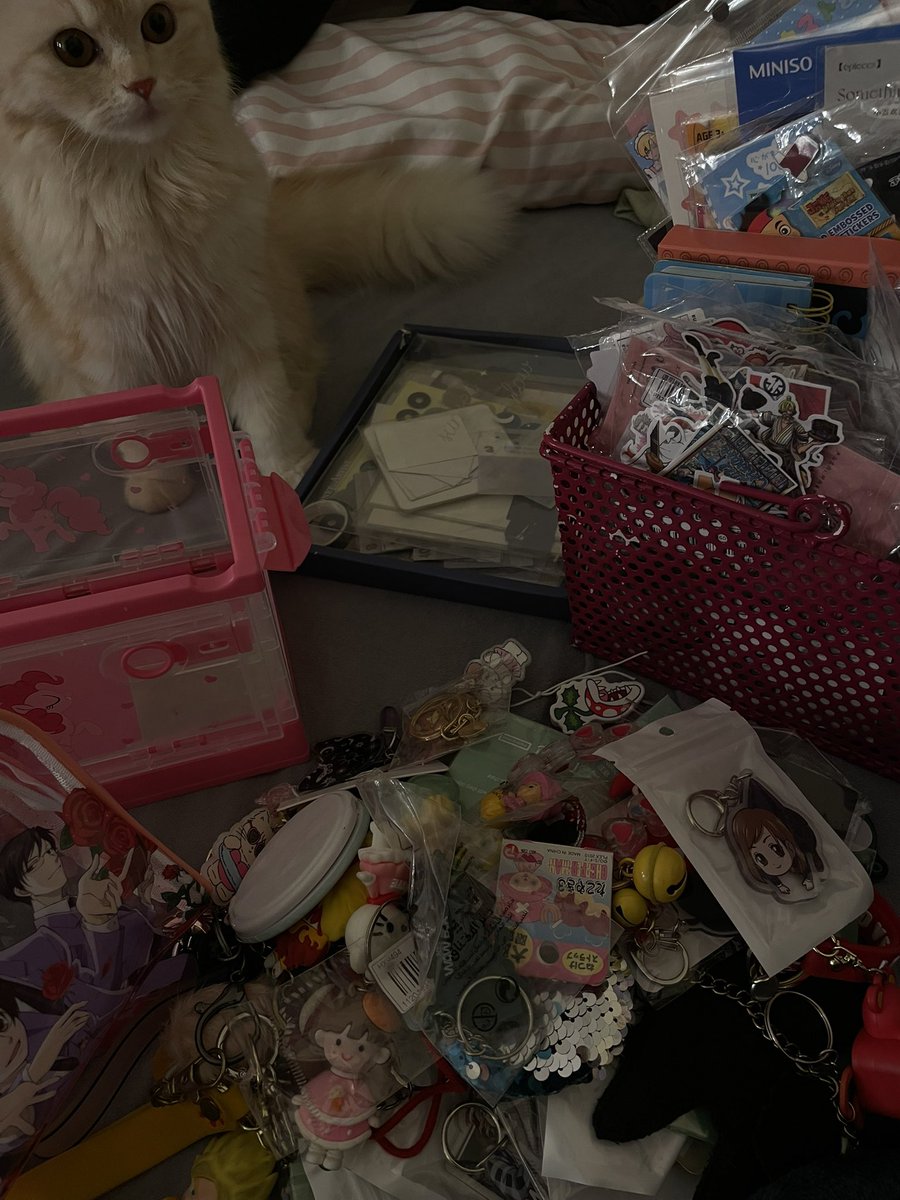 구미호 Loba tweet media