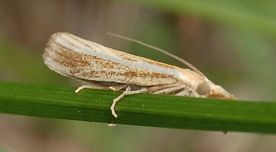 Jean Gautier 🐝🦋🐞 #Insoumis, Écolo et partageux tweet media