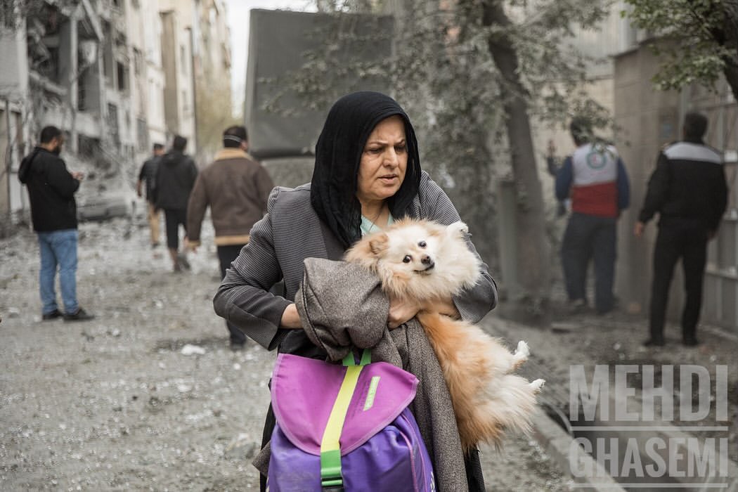 Bahar | بهار tweet media