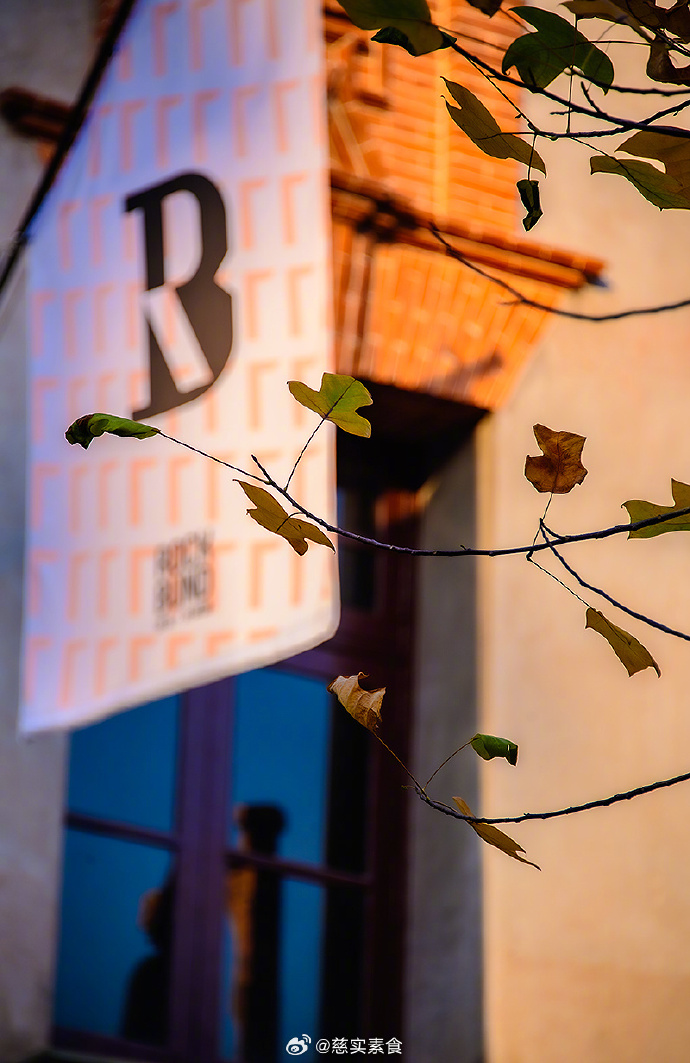 Lara Dolfi tweet media