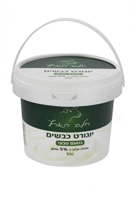 חֲנוֹךְ 🏝 tweet media