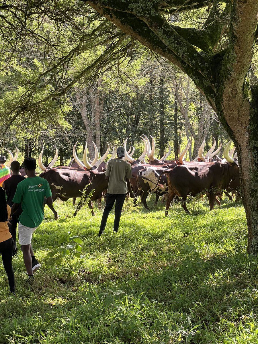 Smyle Explores tweet media