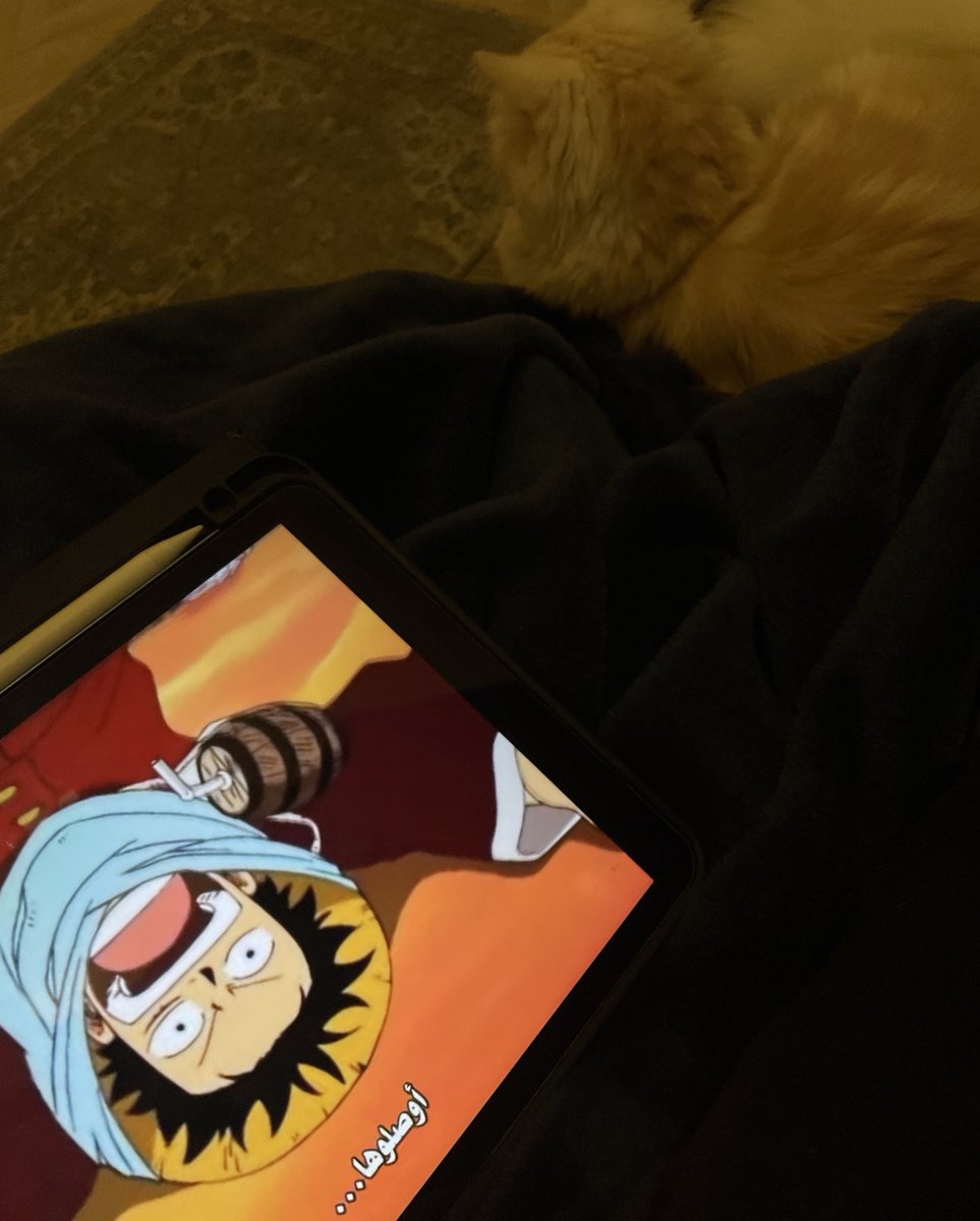 구미호 Loba tweet media