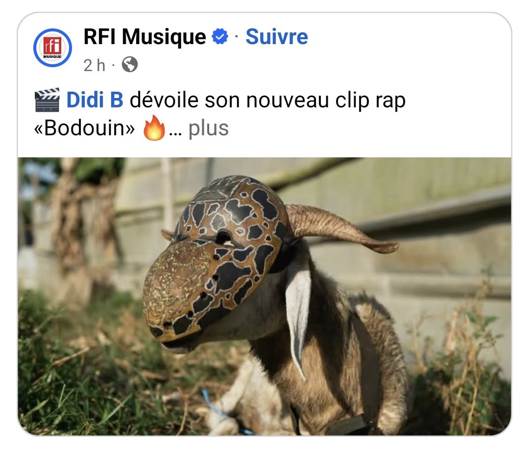 Kalex 🚀 tweet media