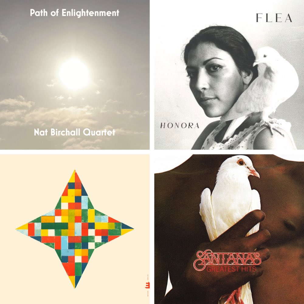 Timothy Niland tweet media