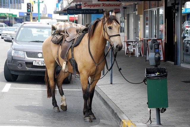 🇸🇦 tweet media