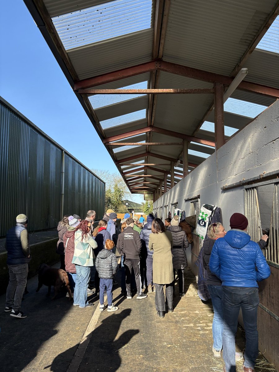 Pimlico Racing Syndicates tweet media