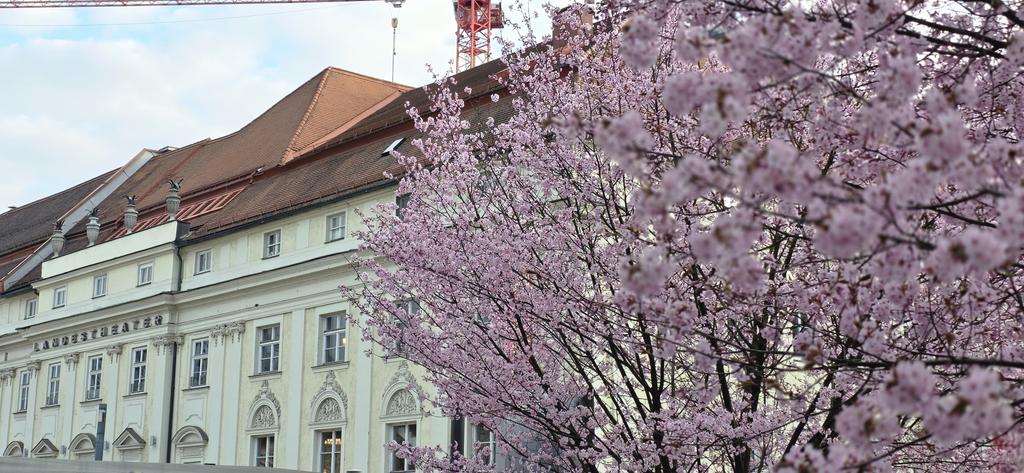 Эмигрант Анатолий. Без устриц и фуа-гра tweet media