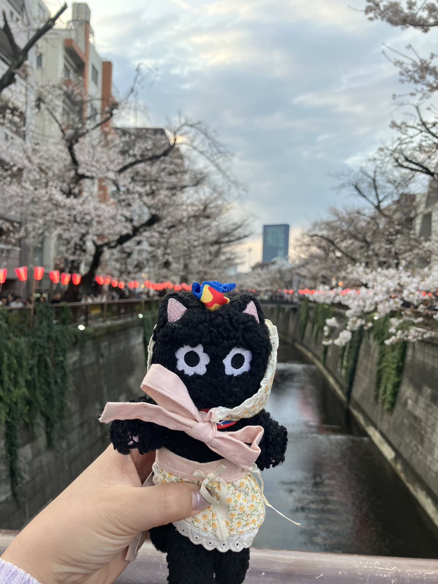 😍😝😍😝 10vely human tweet media