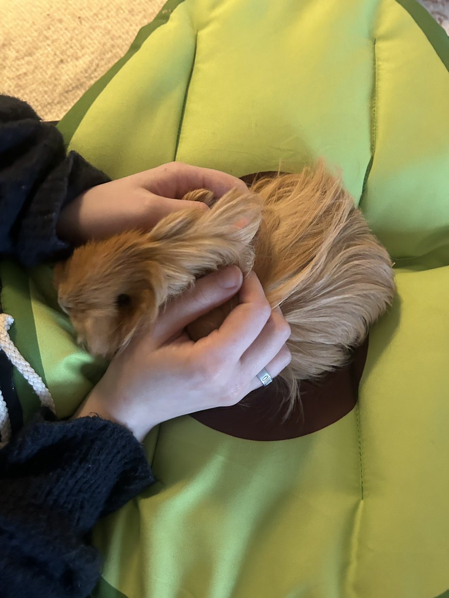 гуднасон tweet media